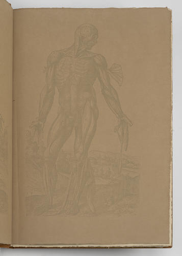 Andreas Vesalius