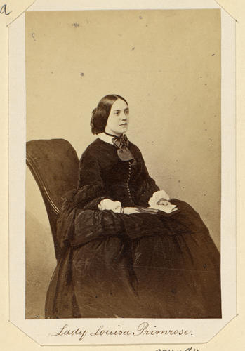 Lady Louisa Primrose