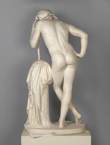 Narcissus Narcissus