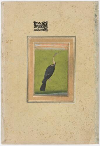 Master: Mughal album of portraits, animals and birds.
Item: Paintings of an oriental darter and Mughal ladies on a terrace