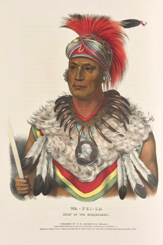 History of the Indian tribes of North America : with biographical sketches and anecdotes of the principal chiefs. Embellished with one hundred and twenty portraits from the Indian Gallery in the Department of War, at Washington ; v. 2 / by Thomas L. M'Kenney. . . and James Hall