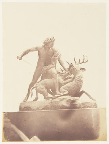 'Death of a Stag' 'Death of a Stag'