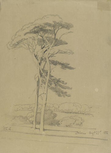 Sketches at Osborne: two fir trees with distant landscape Sketches at Osborne: two fir trees with distant landscape