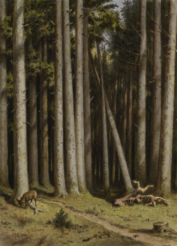 Forest trees at Tabarz, with deer