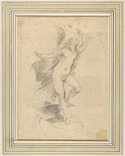 Andromeda Andromeda