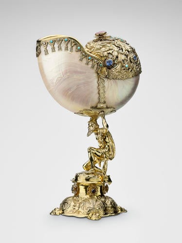 Nautilus cup Nautilus cup