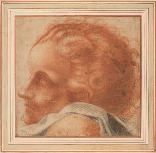 The head of a youth The head of a youth