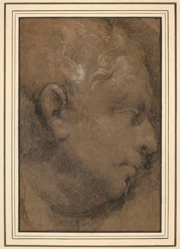 Study of a bust of Vitellius, in profile