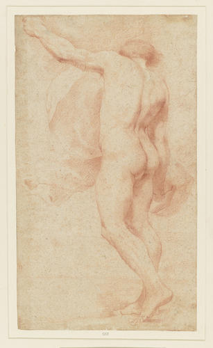 A standing male nude, left arm raised; seen from behind A standing male nude, left arm raised; seen from behind