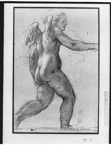 Cupid