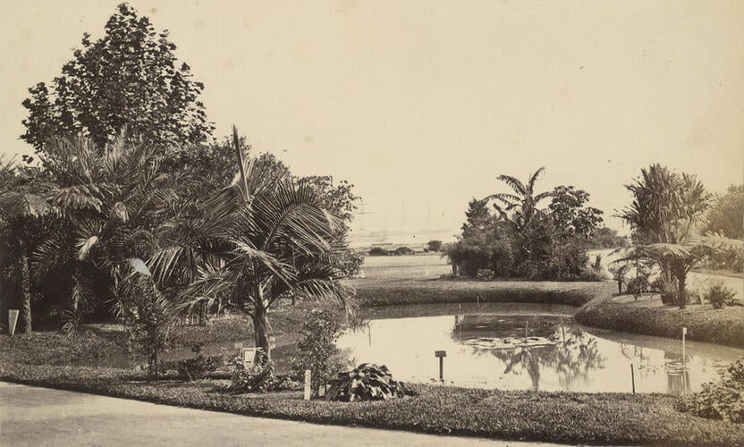 The Cruise of HMS Bacchante 1879-1882: Botanical Gardens, Farm Cove, Sydney, Australia The Cruise of HMS Bacchante 1879-1882: Botanical Gardens, Farm Cove, Sydney, Australia