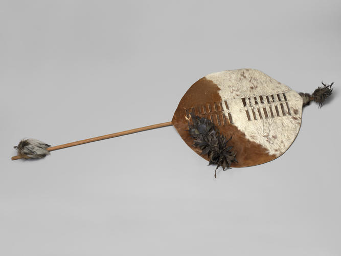 Shield