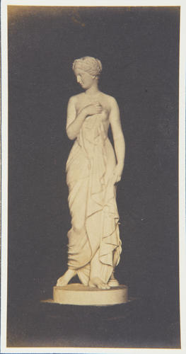'A statue by Muller'