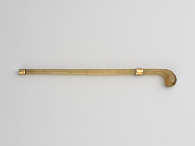 Walking stick Walking stick