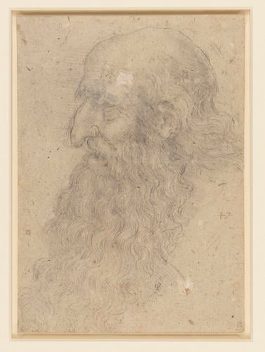 The head of an old bearded man in profile
