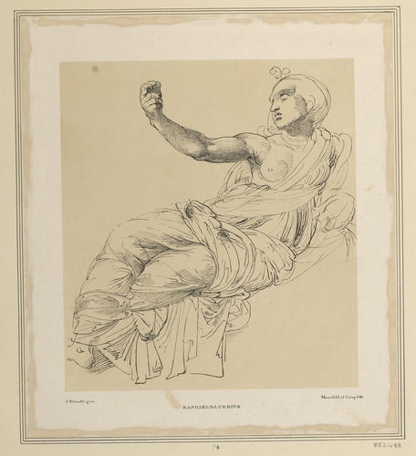 Study for one of the muses in the 'Parnassus'