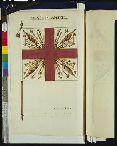 Drawings of the Colours and Standards of the British Army : Tempore James II &c. &c. &c Drawings of the Colours and Standards of the British Army : Tempore James II &c. &c. &c