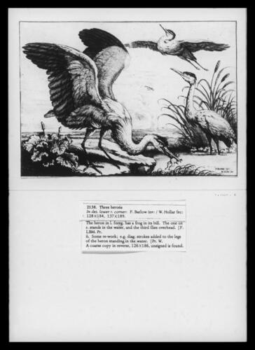 Three Herons Three Herons