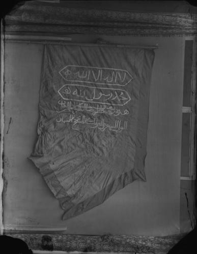 Glass plate negative