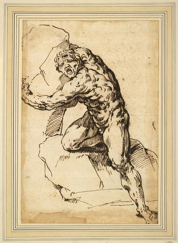 Polyphemus Polyphemus