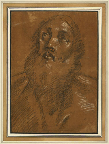 The head of a bearded man, looking upwards