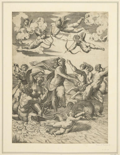 The triumph of Galatea The triumph of Galatea