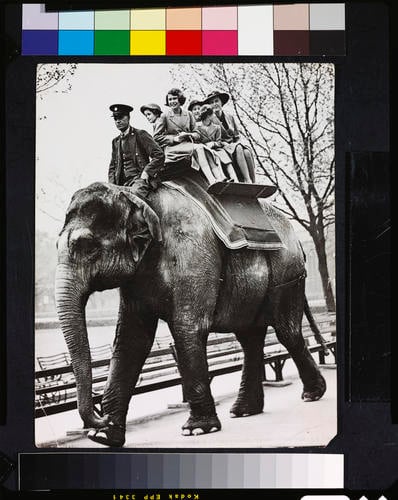 The Princesses Elizabeth and Margaret enjoy an elephant ride at the Zoo
