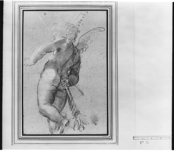 Cupid