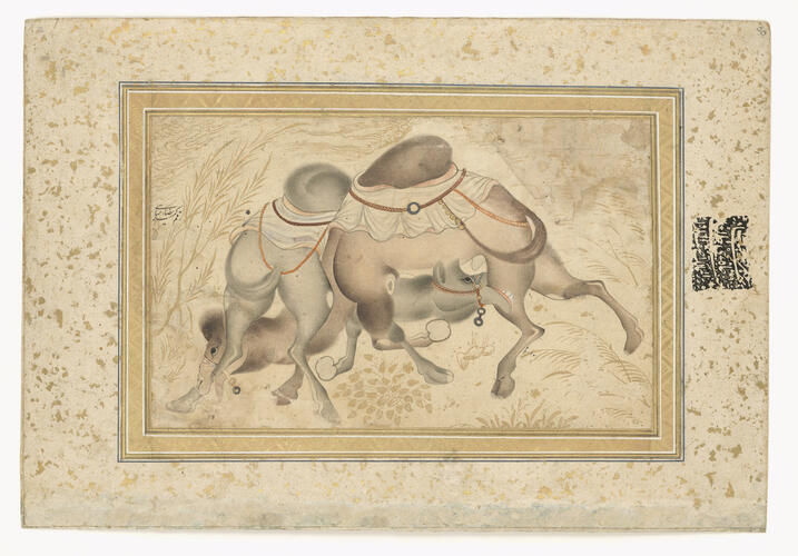 Master: Mughal album of portraits, animals and birds.
Item: Paintings of a pair of fighting camels and the siege of a fortress Master: Mughal album of portraits, animals and birds.
Item: Paintings of a pair of fighting camels and the siege of a fortress