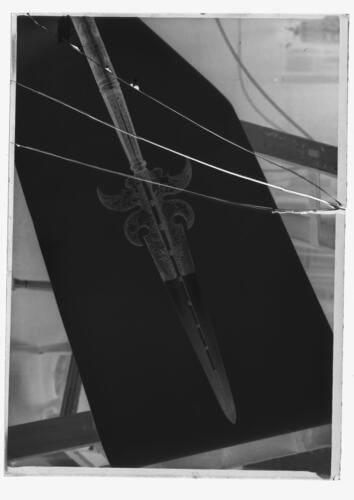 Glass plate negative of a partisan Glass plate negative of a partisan