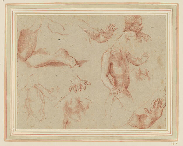 Studies of a man, hands and feet
