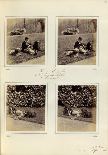 Prince Leopold, later Duke of Albany (1853-84), with dogs Prince Leopold, later Duke of Albany (1853-84), with dogs
