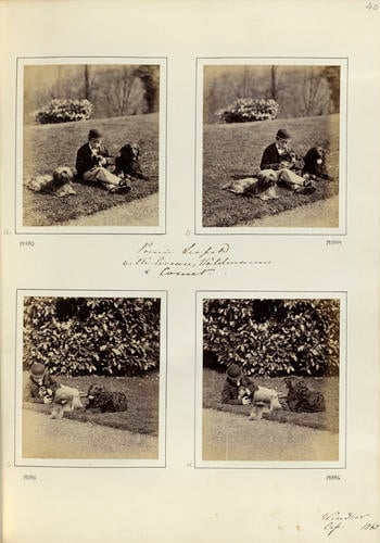 Prince Leopold, later Duke of Albany (1853-84), with dogs