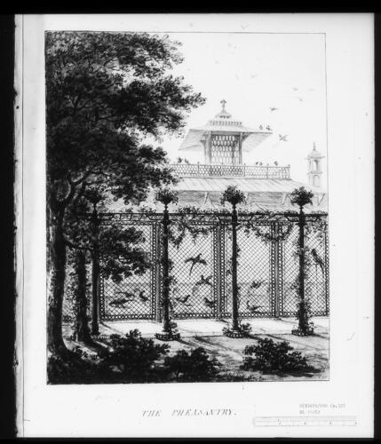 Designs for the Pavilion at Brighton: The Pheasantry