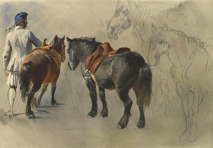 The ponies Daisy and Lochnagar