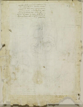 Studies of the heart, lungs, liver, spleen, etc (recto); The heart, lungs and other organs (verso)