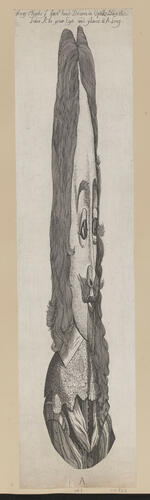King Charles ye firste head Drawn in Opticks King Charles ye firste head Drawn in Opticks