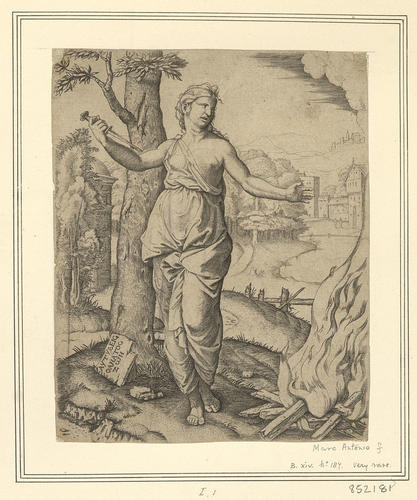 Dido