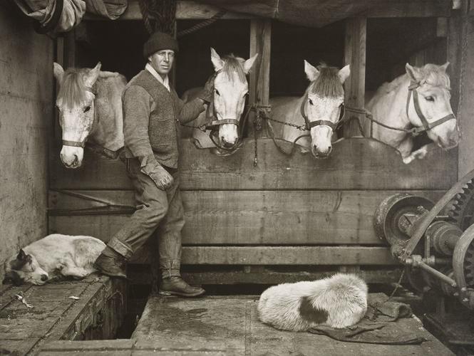 Captain Oates and Siberian ponies on board Terra Nova