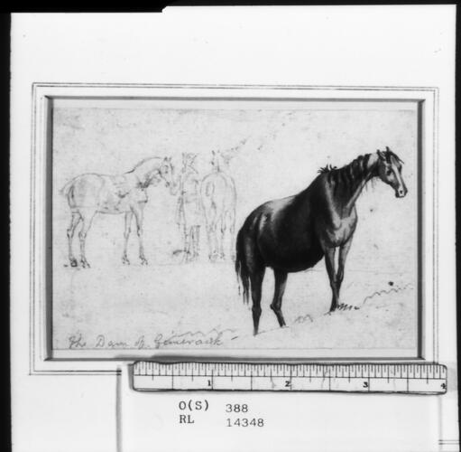 'The Dam of Gimcrack'