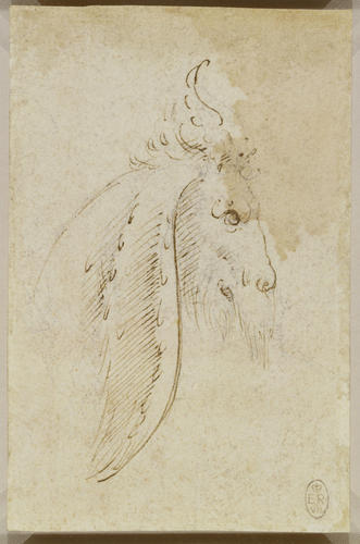 The head of a grotesque animal