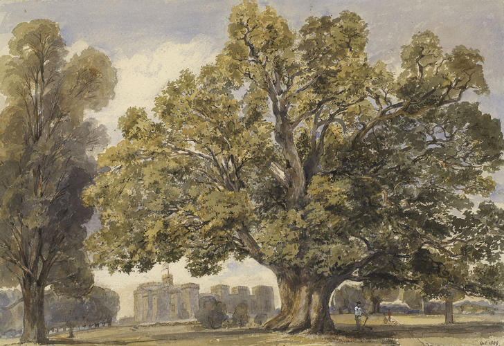 Windsor Home Park: the Old Oak. 1849