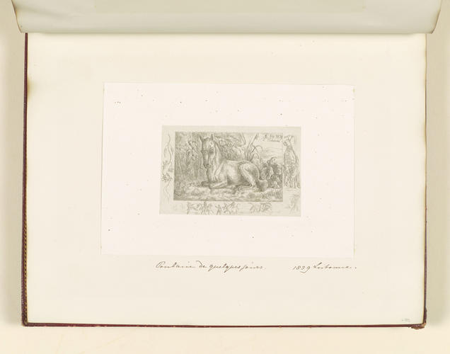 Master: Collection of Etchings done by Ferdinand King of Portugal, 1840.
Item: A foal on the grass