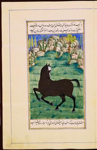 Farasnamah فرسنامه (A Treatise on Horses) and Dawlatnamah دولتنامه (A Treatise on Falcons)