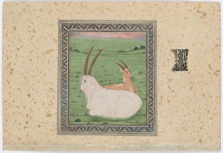 Master: Mughal album of portraits, animals and birds.
Item: Paintings of a Billy goat with a chinkara and a Mughal lady Master: Mughal album of portraits, animals and birds.
Item: Paintings of a Billy goat with a chinkara and a Mughal lady