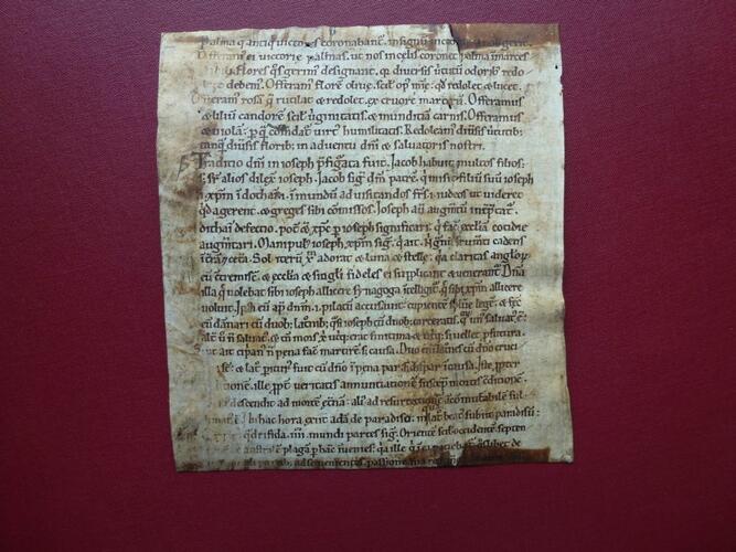 Master: Trinubium of Saint Anne, and other fragments
Item: Trinubium of Saint Anne, etc
