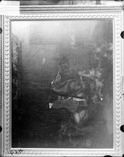 Glass plate negative of a picture Glass plate negative of a picture