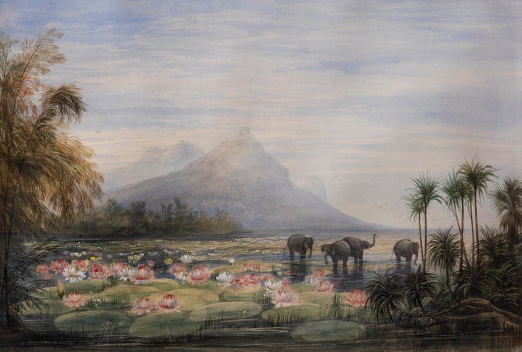 Ceylon: the Lake of Minery