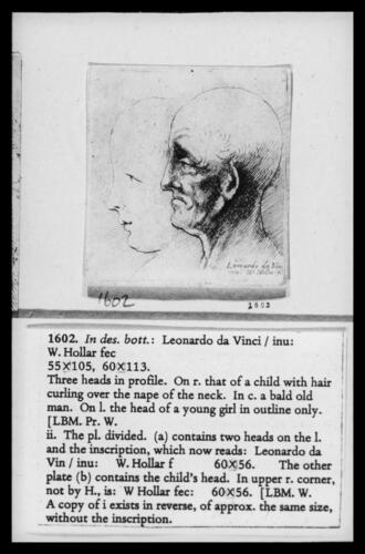 Three heads in profile