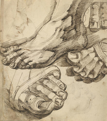 Studies of feet Studies of feet